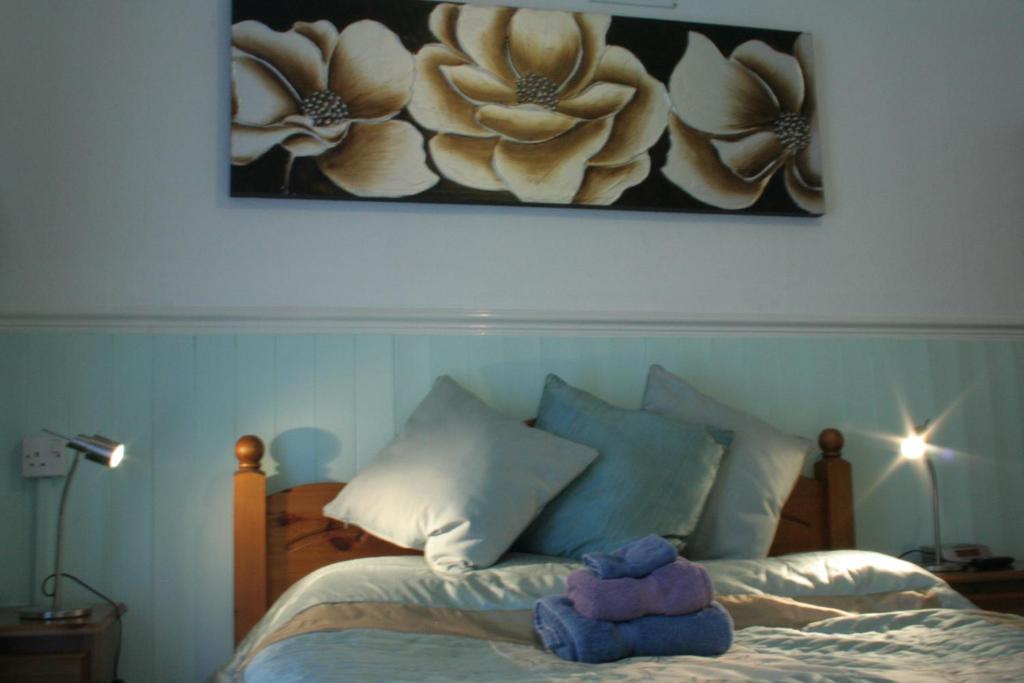 Devon View Guesthouse Swansea Oda fotoğraf