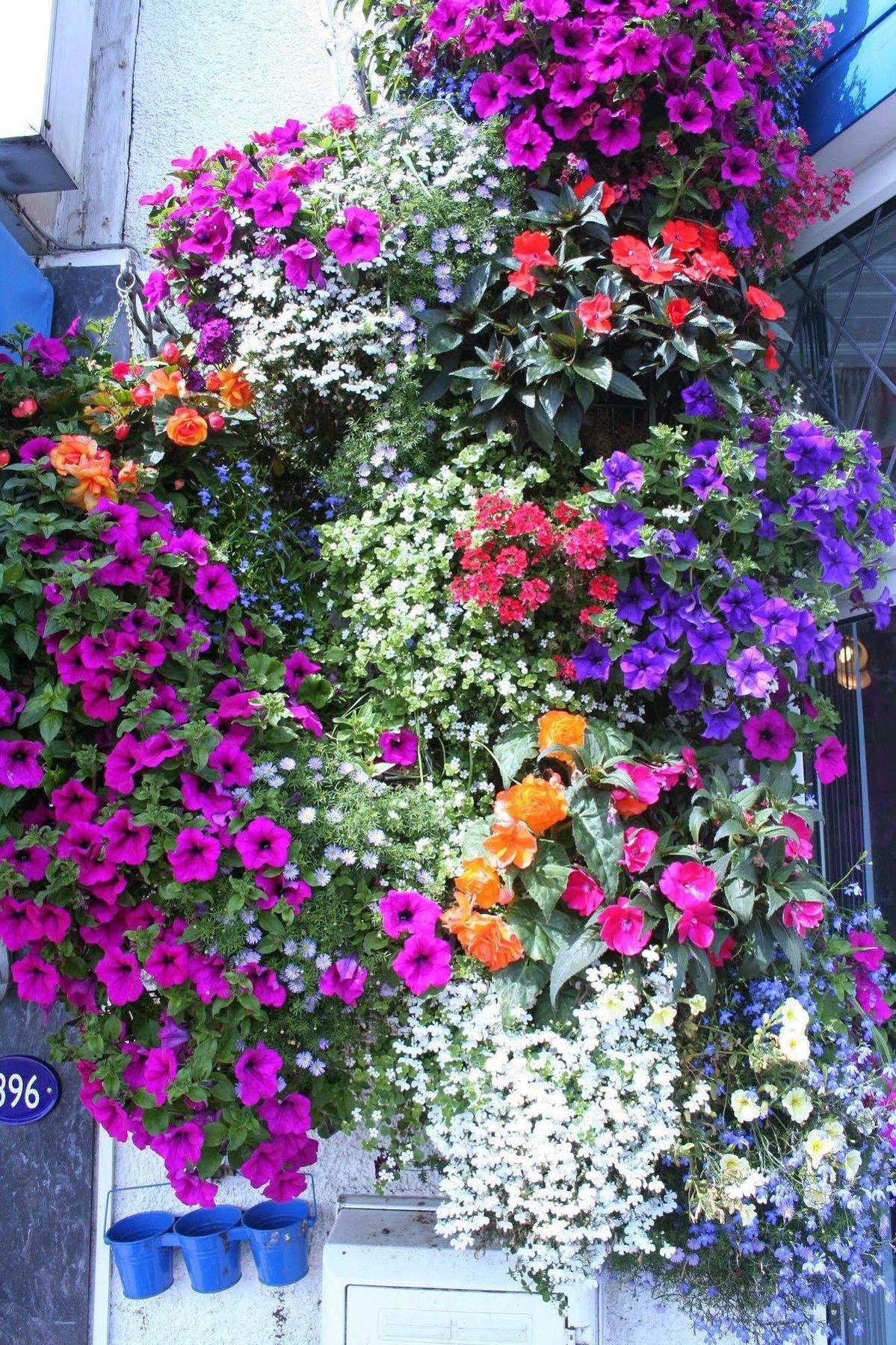 Devon View Guesthouse Swansea Dış mekan fotoğraf