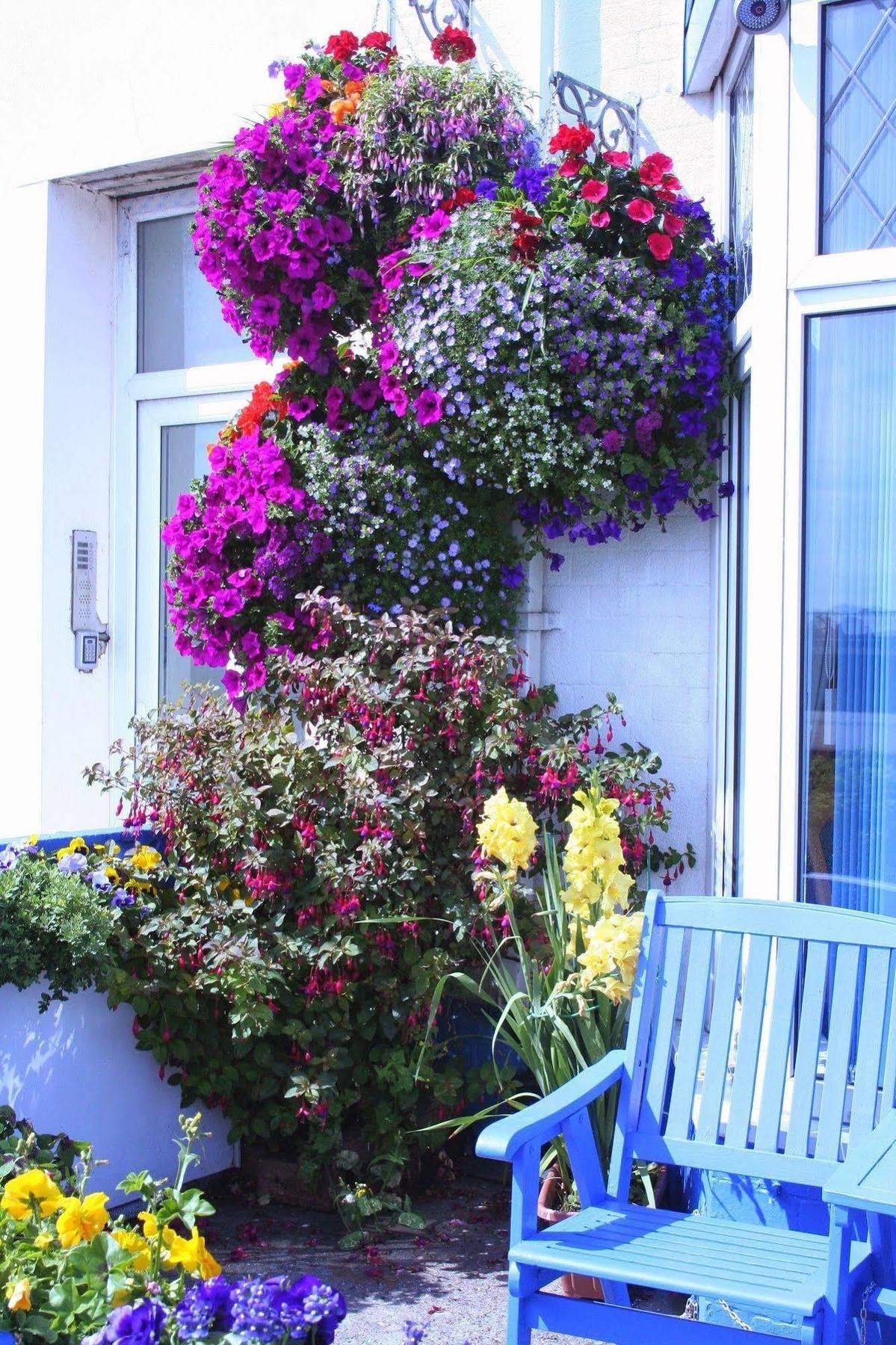 Devon View Guesthouse Swansea Dış mekan fotoğraf